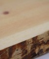 Zirbenholz Brett Zirbe unbehandelt Rinde Detail